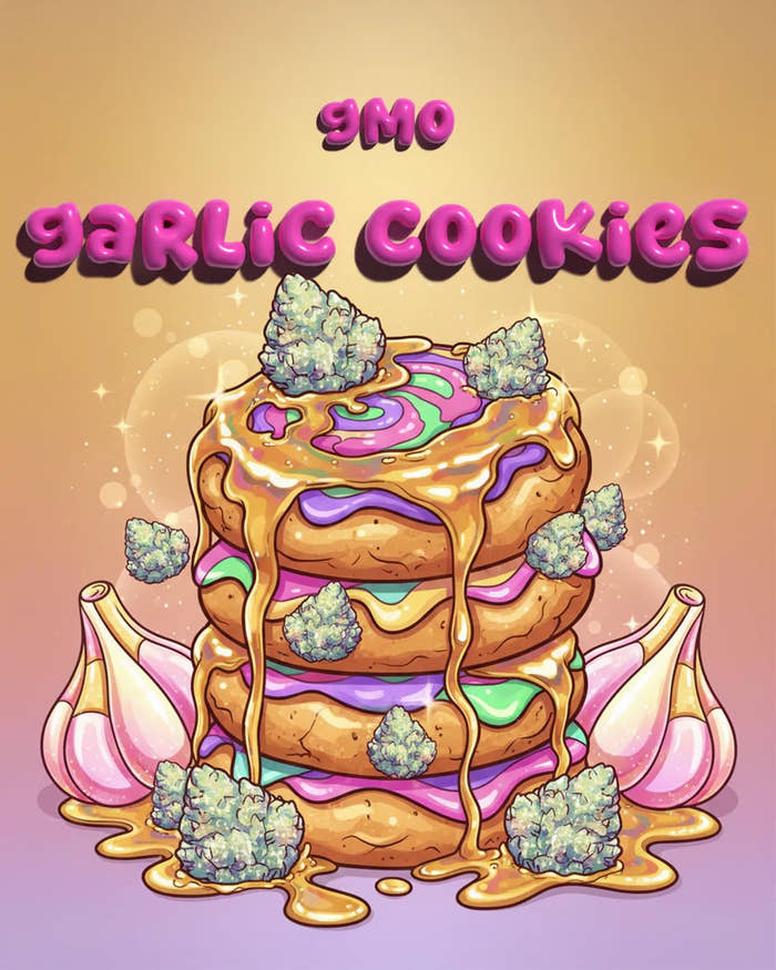 GMO Garlic Cookies Illustration – Genetik & Wuchsform