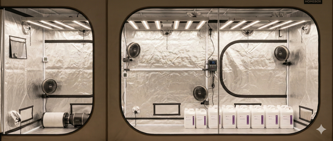 Equipment & Setup Guide: Perfektes Indoor-Setup für jeden Erfahrungsgrad