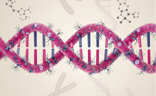 Cannabisgenetik verstehen: F1, BX, S1 & moderne Strains erklärt