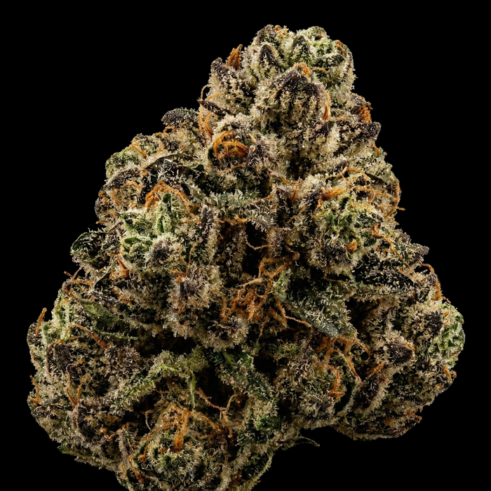 Amnesia x Oreoz - SEEDPOPPERS