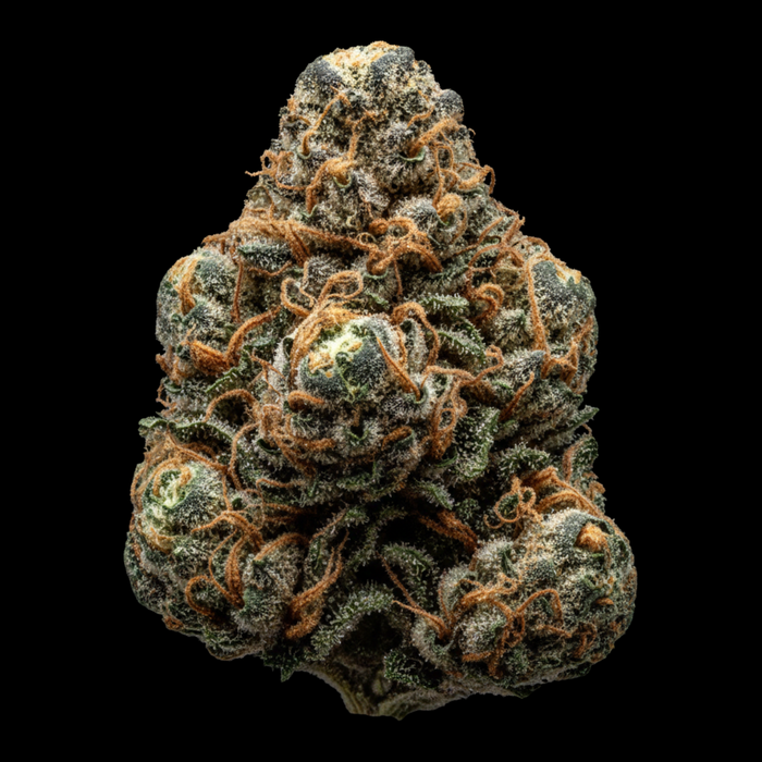 Bubba Kush - SEEDPOPPERS