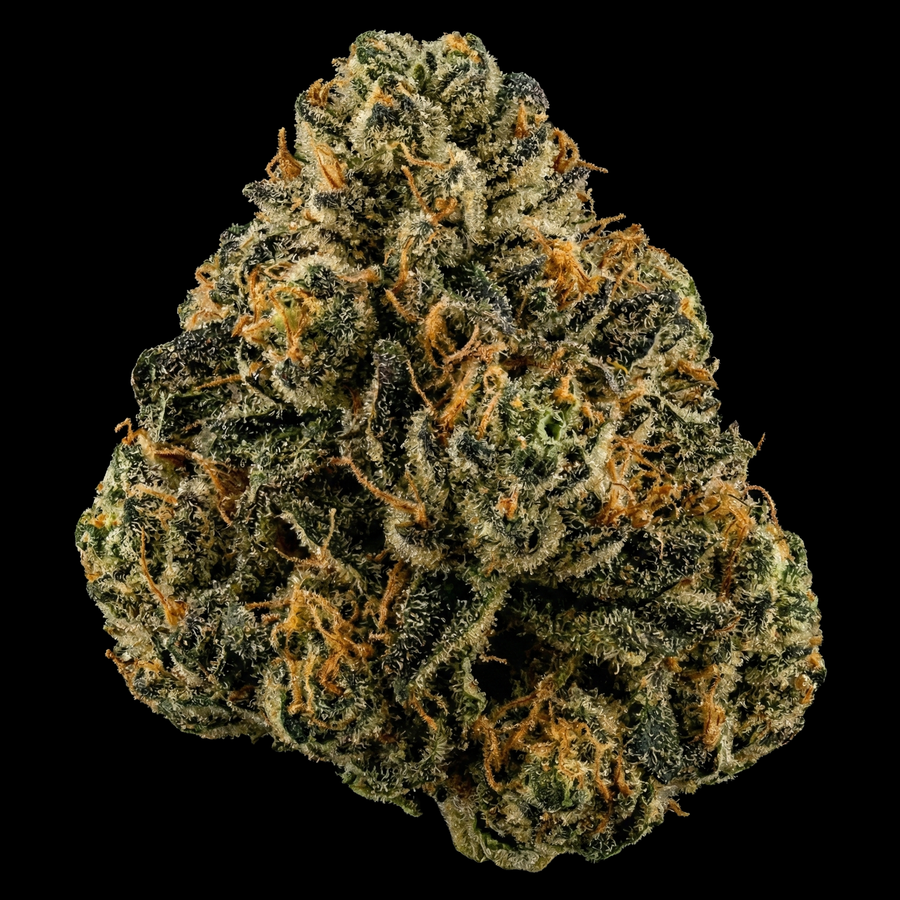 Gelato Auto - SEEDPOPPERS