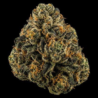 Gelato Auto - SEEDPOPPERS