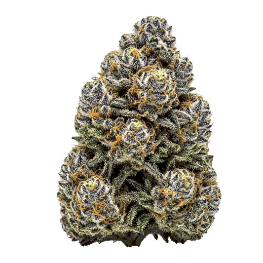 MAC × Magnum Auto – kräftige Autoflower mit Zitrus-, Kiefer- und Diesel-Aroma