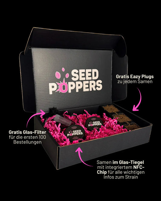 Seedpoppers Box mit Glasverpackung und NFC-Chip im Deckel.