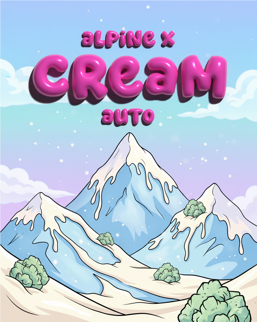 Alpine x Cream Auto Illustration  - SEEDPOPPERS