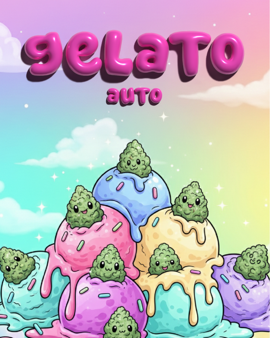 Gelato Auto Illustration  - SEEDPOPPERS