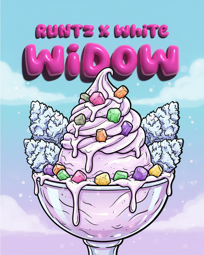 Runtz x White Widow Illustration - SEEDPOPPERS