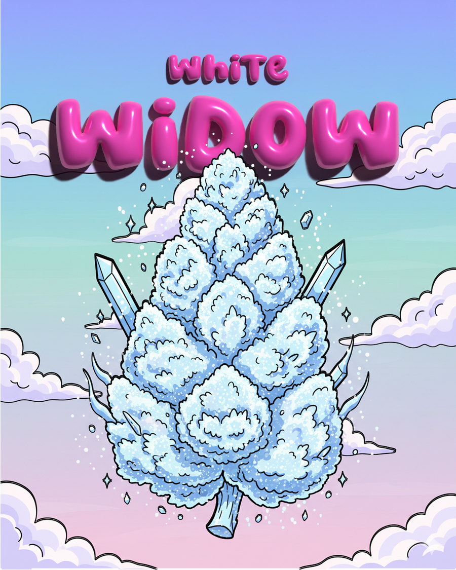 White Widow Illustration - SEEDPOPPERS