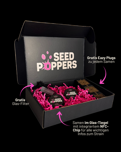 Versandbox für Strawberry Cough Samen – Diskret & Sicher