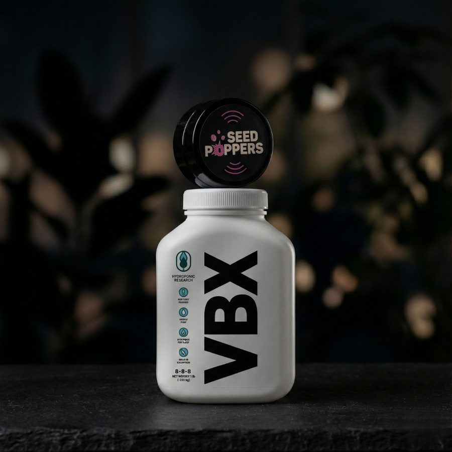 erst dünger oder samen Starter Bundle – 1 Seed + VBX – Samen kaufen (DE)