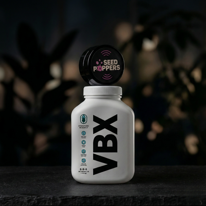 Starter Bundle – 1 Seed + VBX – Cannabis Samen + VBX Dünger Set