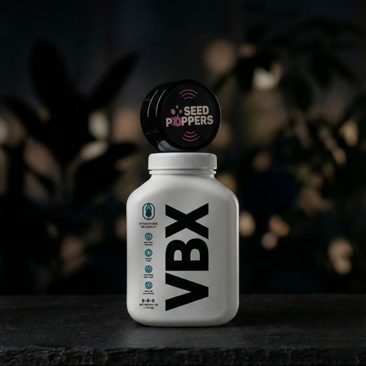 Starter Bundle – 1 Seed + VBX – Cannabis Samen + VBX Dünger Set