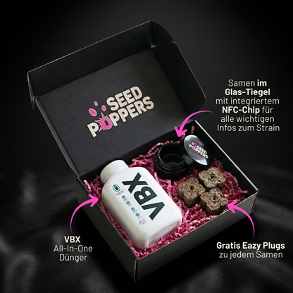 SEEDPOPPERS Bundle Box – Starter Bundle – 1 Seed + VBX Inhalt