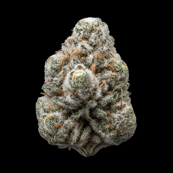 White Widow - SEEDPOPPERS