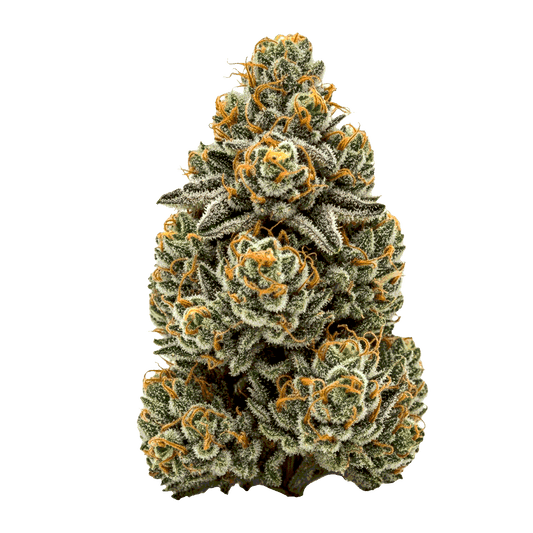 Cereal Milk - Seedpoppers