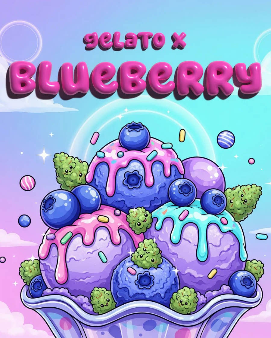 Gelato x Blueberry Auto Illustration – Genetik & Wuchsform