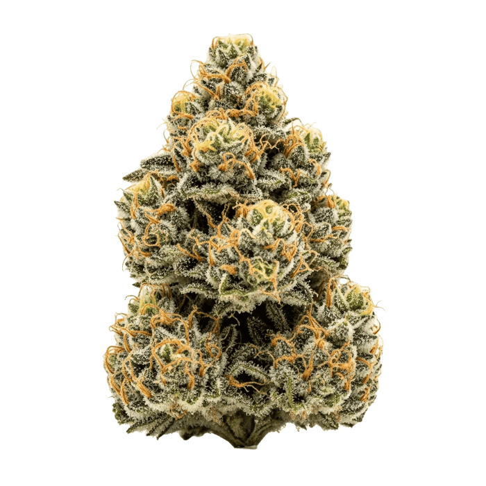 Georgia Pie aka Sticky Buns Cannabis Samen – Premium Genetik (Indica/Sativa)