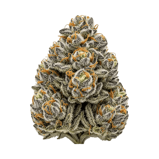 Girl Scout Cookies Auto - Seedpoppers