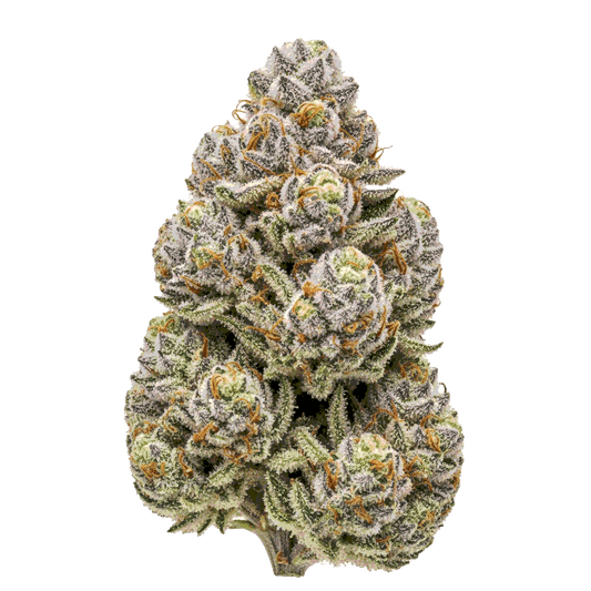 Ice Cream Cake - Seedpoppers