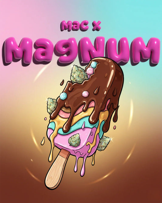 MAC x Magnum Auto - SeedpoppersMAC × Magnum Auto – kräftige Autoflower mit Zitrus-, Kiefer- und Diesel-Aroma