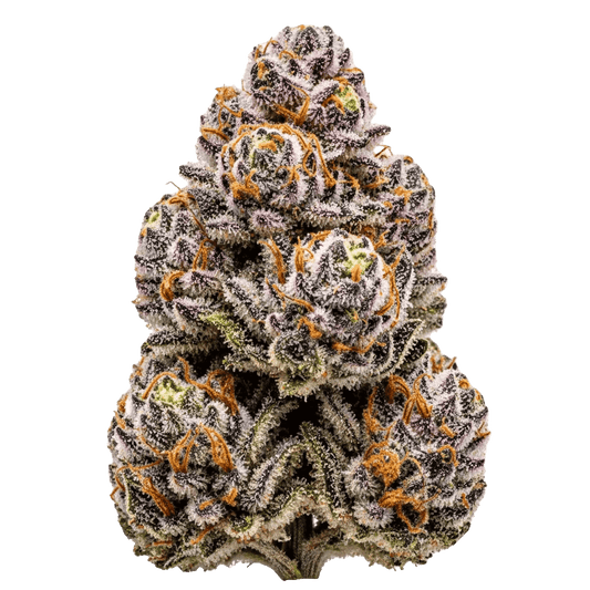 Otter Popz x Permanent Marker - Seedpoppers