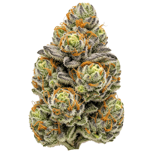 Zkittlez Auto - Seedpoppers